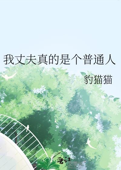 小情侣在天灾末世封面