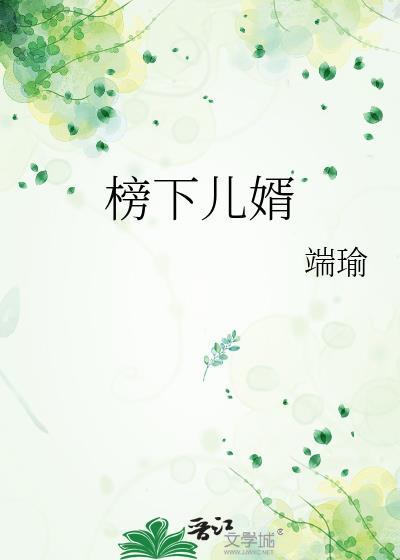 岁辞纪事（女扮男装）封面