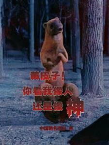 通古今达末世，混的风生水起封面