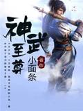段王爷的江湖 下封面