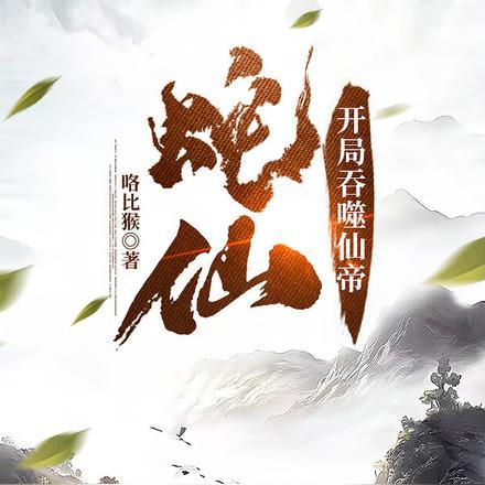 换亲封面