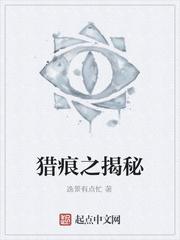 暮影传封面