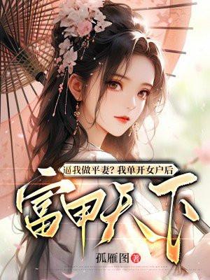 霜月流华封面