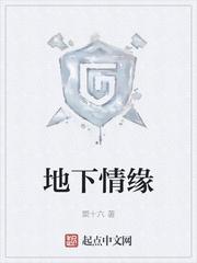 我是npc转换器封面