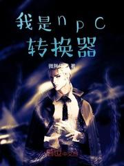 我的运气真没那么好封面