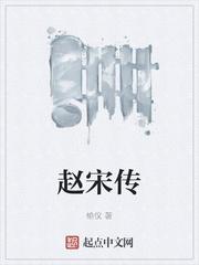 赵宋传