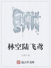 林空陆飞鸢