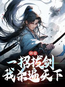 重生之辉煌人生封面