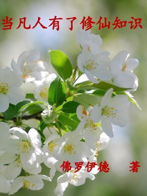 命剩三年？四圣女求我别摆烂封面
