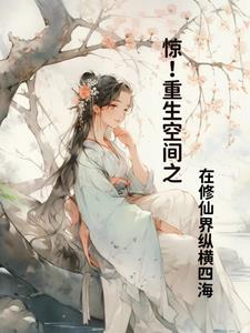 堡宗没了,不还有儿子么封面