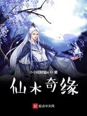 陈三金古井观封面