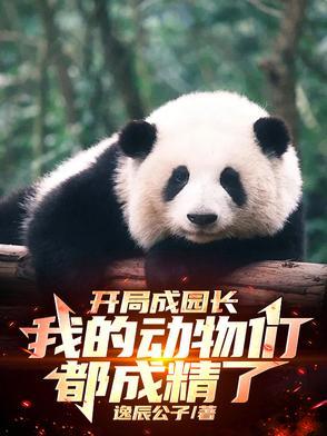 代码:烬封面