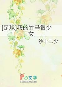 群星闪耀之际封面