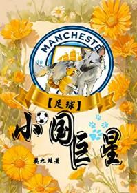当心极品拽公主封面