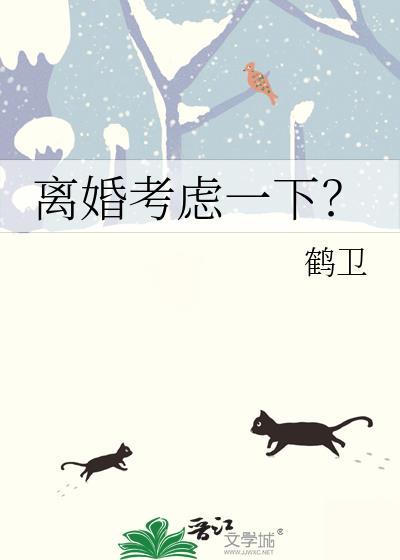 政敌的妻子封面
