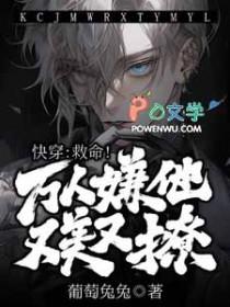 烟花灿烂的季节封面