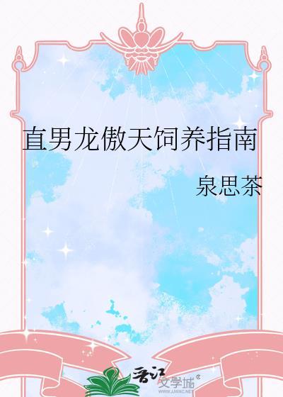 精灵的向导封面