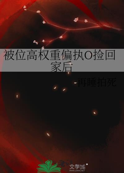 直到细雪飞下来封面