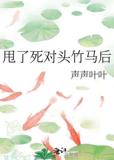 我心昭昭GB封面